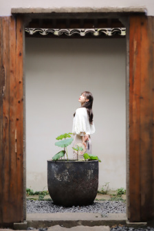 校花H